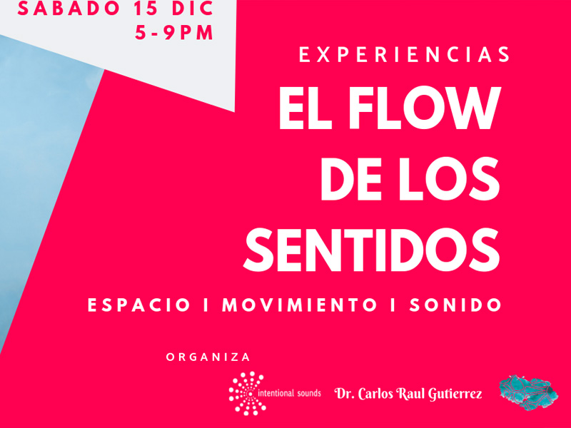 EXPERIENCIAS EL FLOW DE LOS SENTIDOS